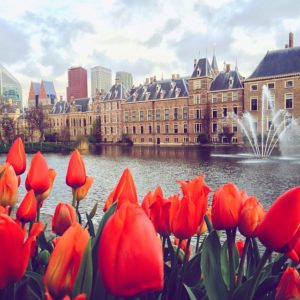 The Hague | PR Guided Tours & Events